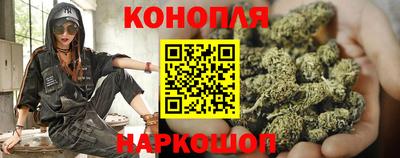 apvp Канаш